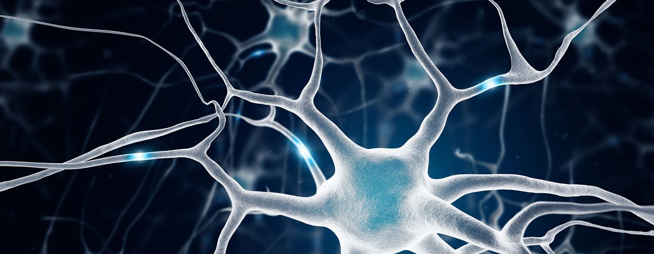 Analisi ultrastrutturale di neuroni e sinapsi