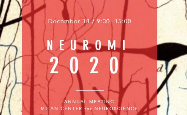 PhD in Neuroscience Day 2020 joins NeuroMI 2020
