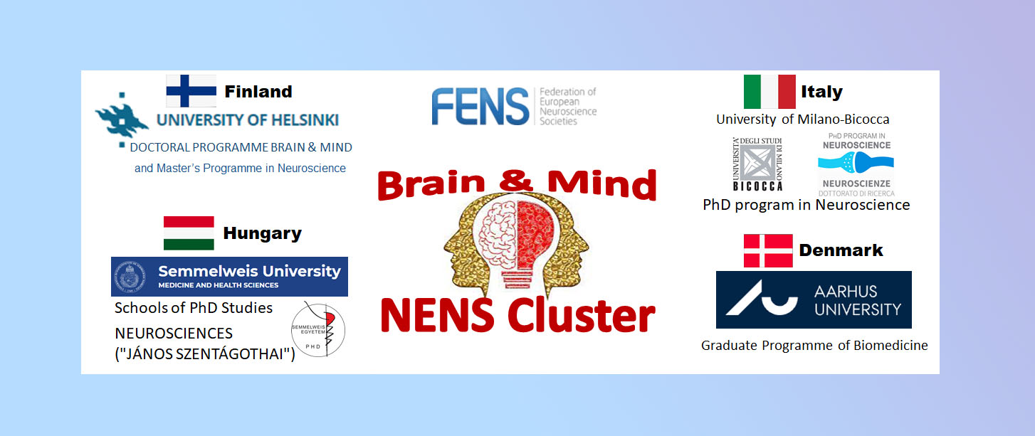 Il Dottorato in Neuroscienze è parte del NENS Cluster "BRAIN and MIND"