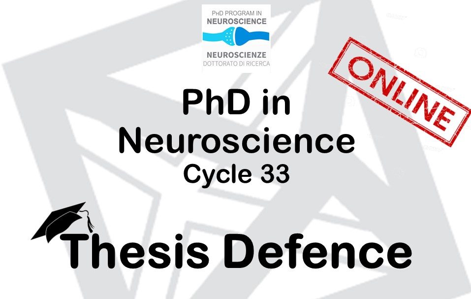 PhD Thesis defence - cycle 33